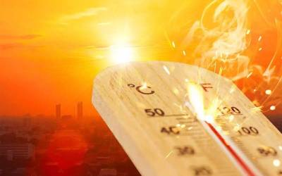 شش خوراکی و نوشیدنی که باعث کم آبی بدن در تابستان می‌شوند